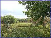 Beestone Regis Common, Norfolk, UK